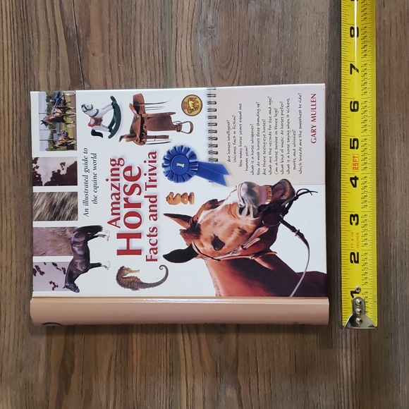 Horse Facts and Trivia Hardback Book - Picture 3 of 4